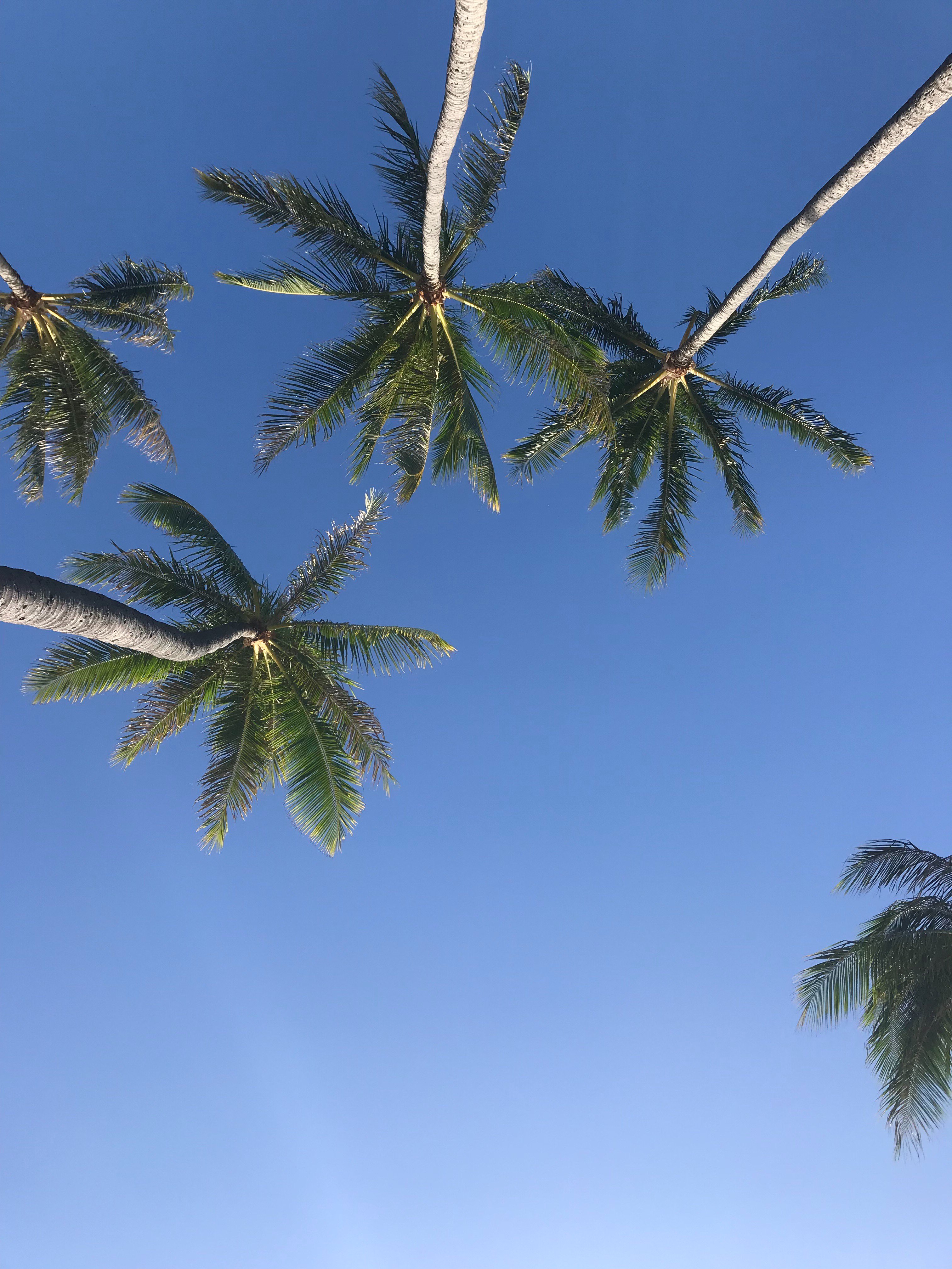 PhillipsAlex10's profile banner image