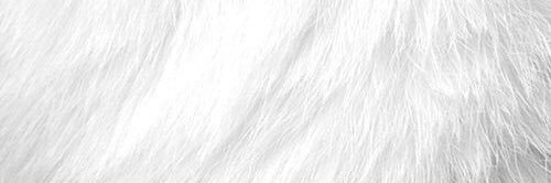FAST's banner