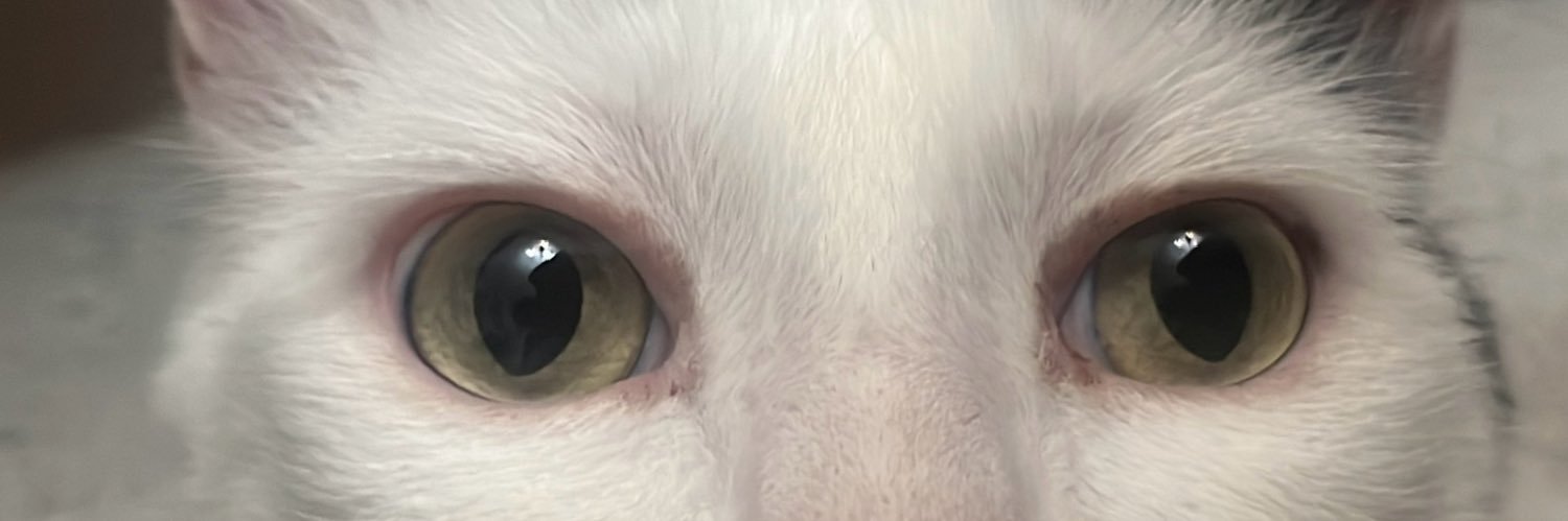 Dapywen's profile banner image
