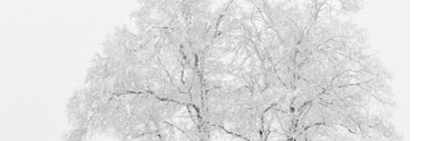 Teeejinnn Profile Banner