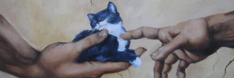 c__coppola's profile banner image