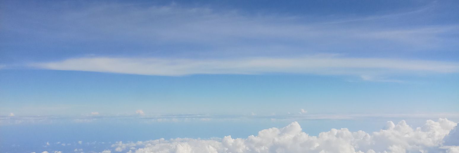 Dips banner