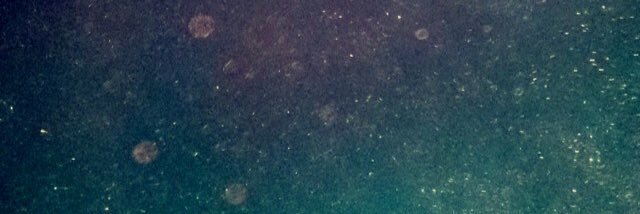 CarrieJanexXx's profile banner image