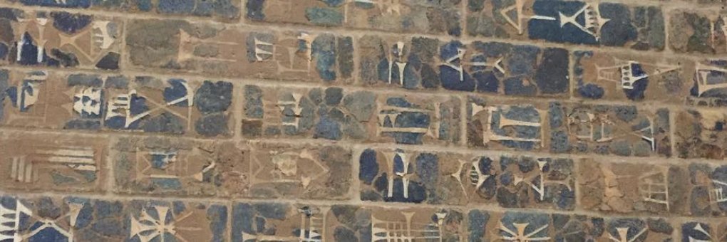 Dr. Jen Singletary banner