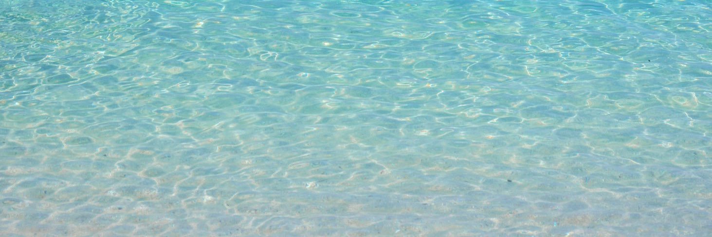 evergreen0091's profile banner image