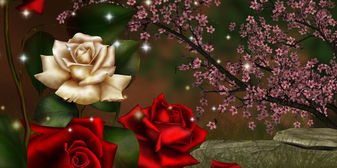 Streatslady's profile banner image