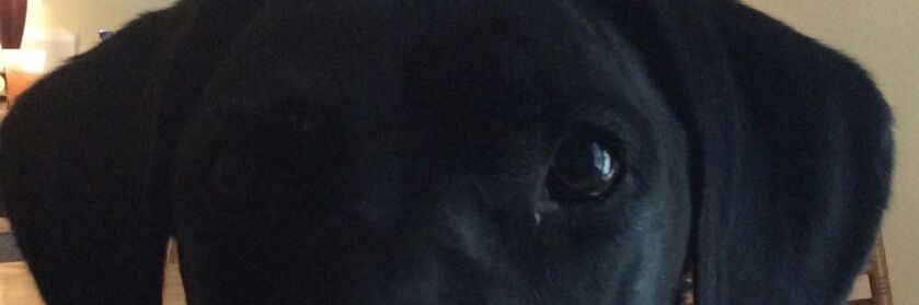 doolingpld's profile banner image