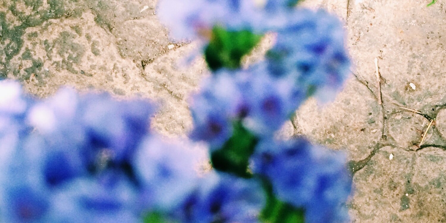 silakaragol's profile banner image