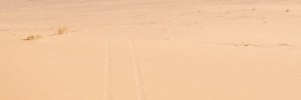 Carter banner