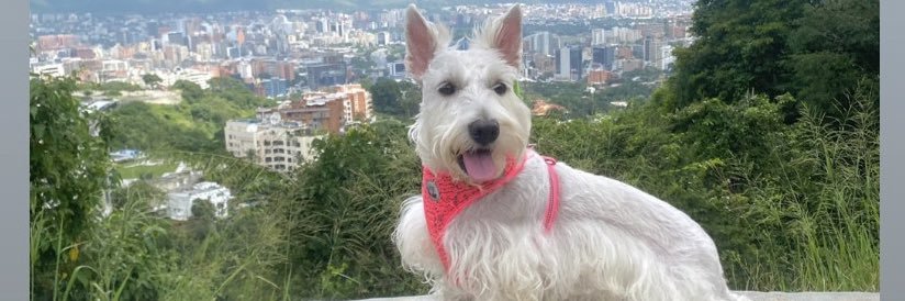 a_margeth's profile banner image