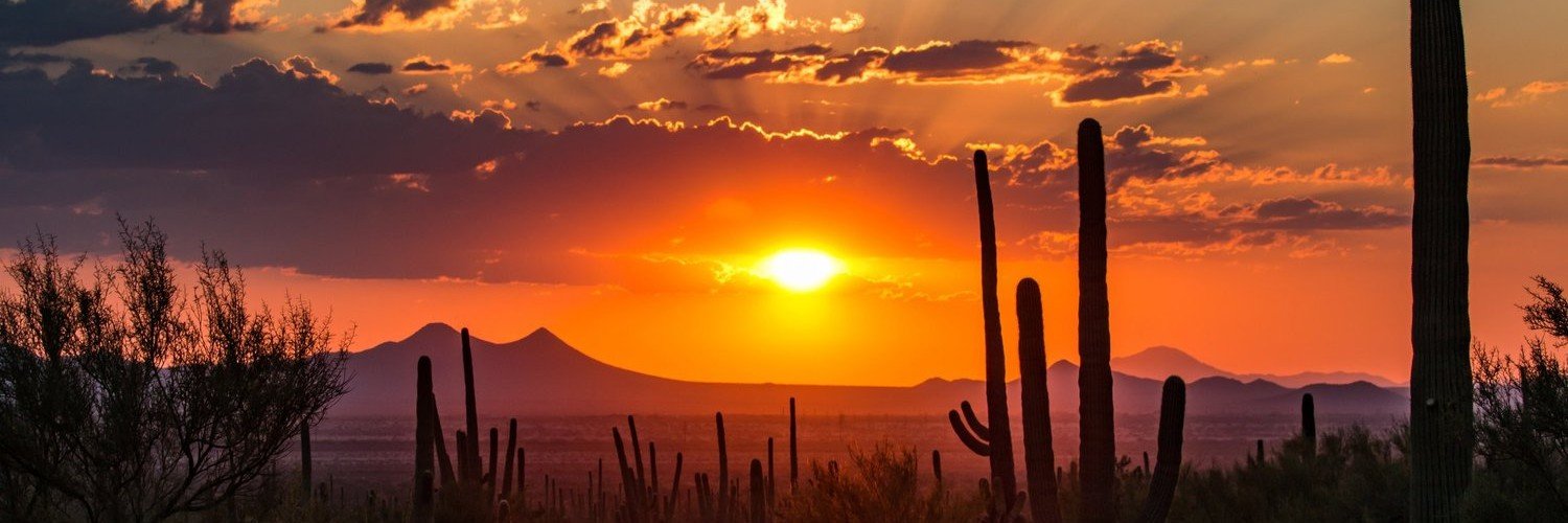 Just Faith🌼 banner