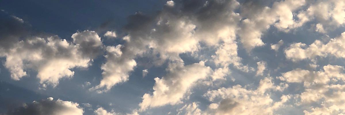 Ezgi Gül banner