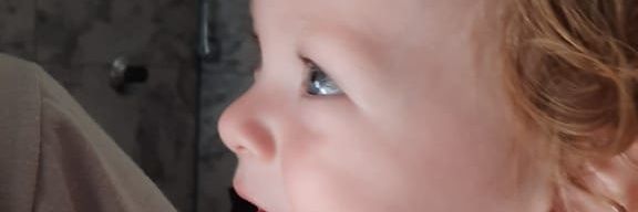 DeboLaurenti's profile banner image