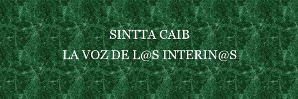SinttaCaib Profile Banner