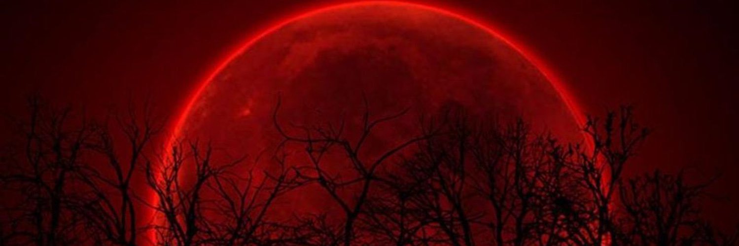Xilefsm's profile banner image
