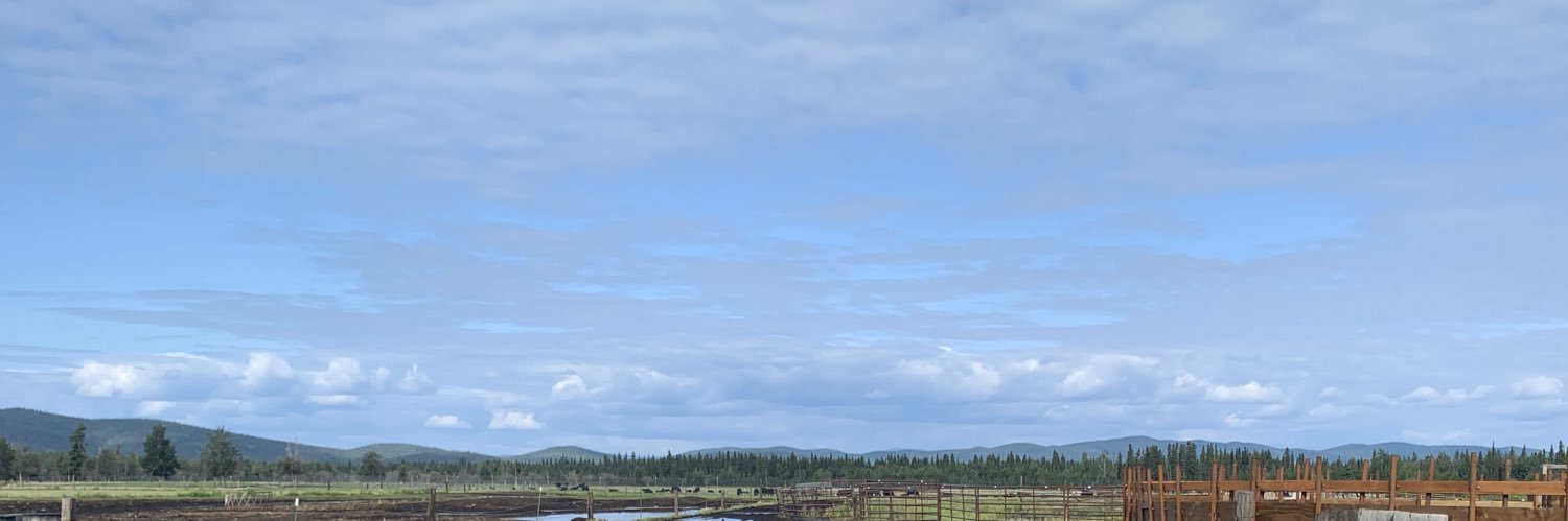 schwiftybuck's profile banner image