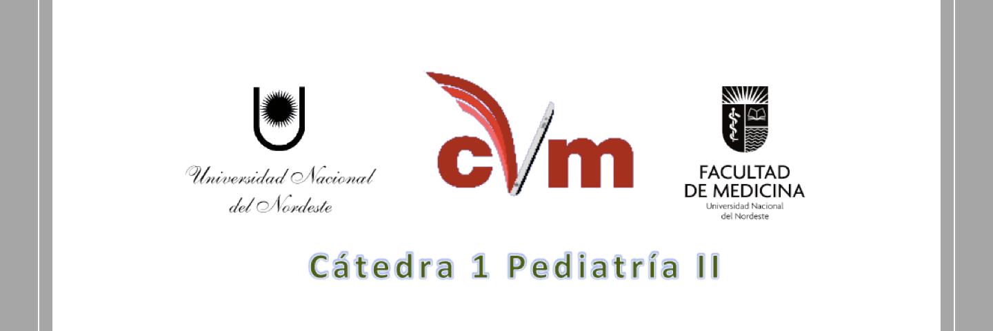 Pediatría II UNNE banner