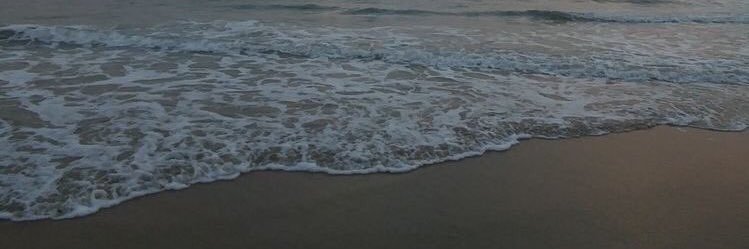 muioil's profile banner image