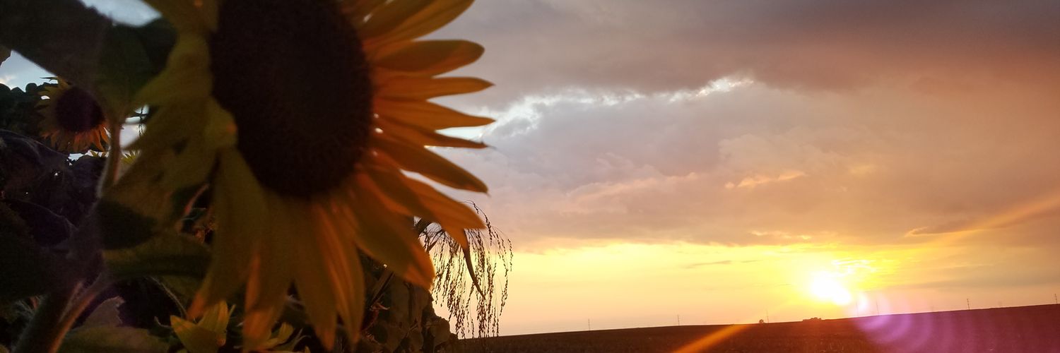 FarmGreer's profile banner image