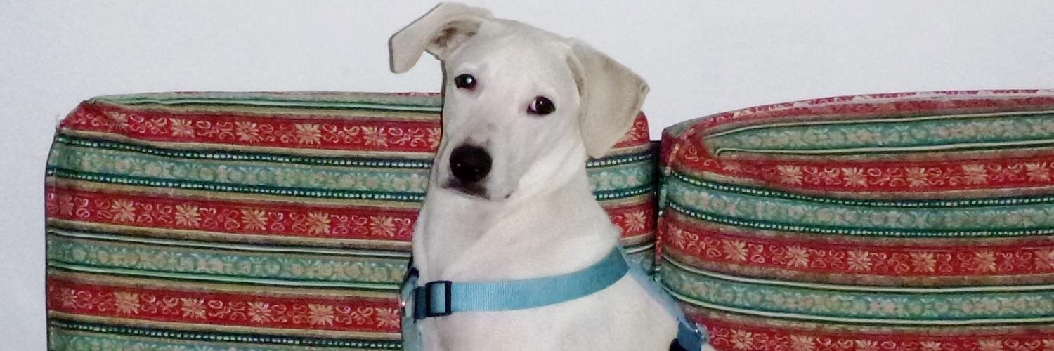 SharleneGF's profile banner image