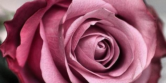 99loome's profile banner image