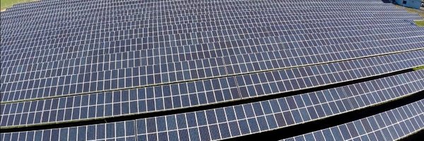 diego_orono Profile Banner