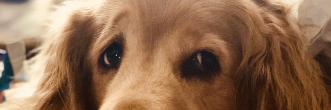 itsmichaeltodd's profile banner image