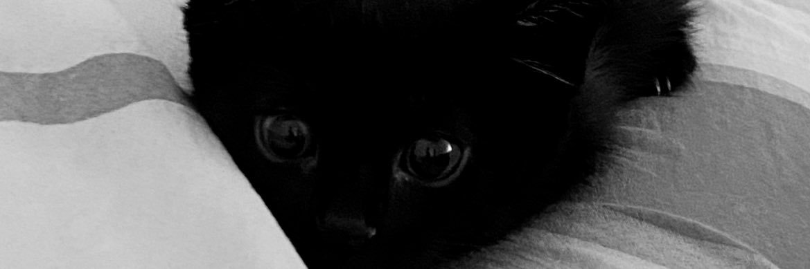 Valeroberts_'s profile banner image