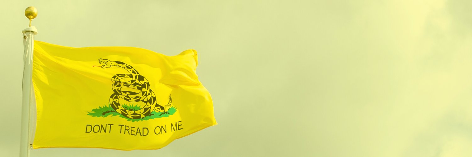 Rolando David banner