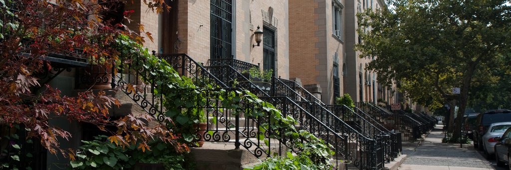 Welcome to Harlem banner