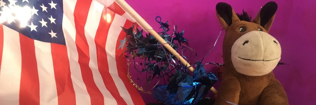 CSUNYD's profile banner image