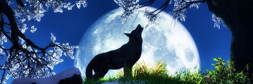 NathanLycan's profile banner image