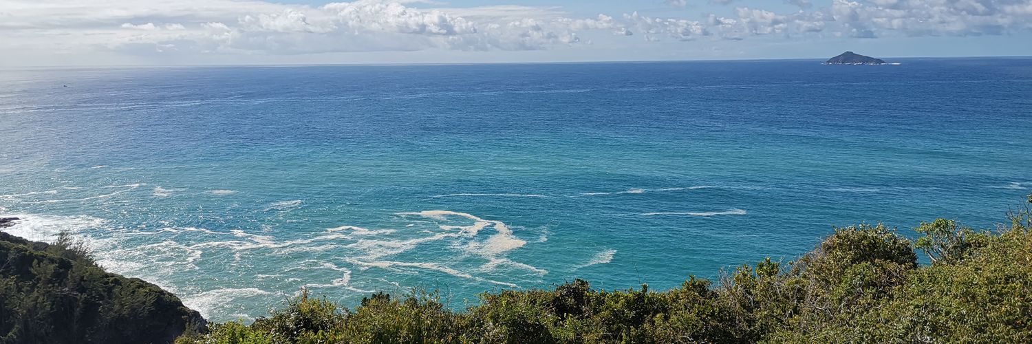 Carolina Oliveira banner