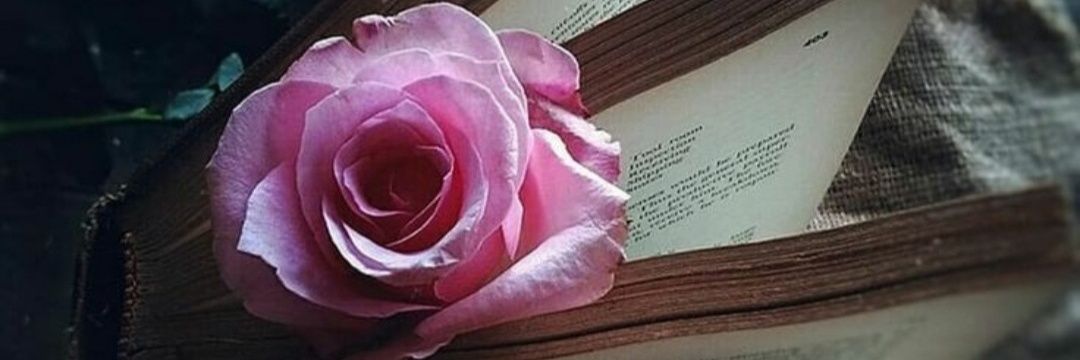 leyl_aman's profile banner image