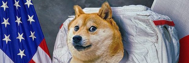 FloShosho's profile banner image