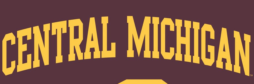 Allyssa Hollo banner