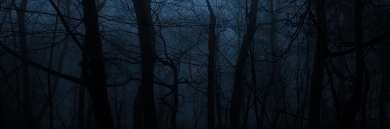 Hunnie🍯👻 banner