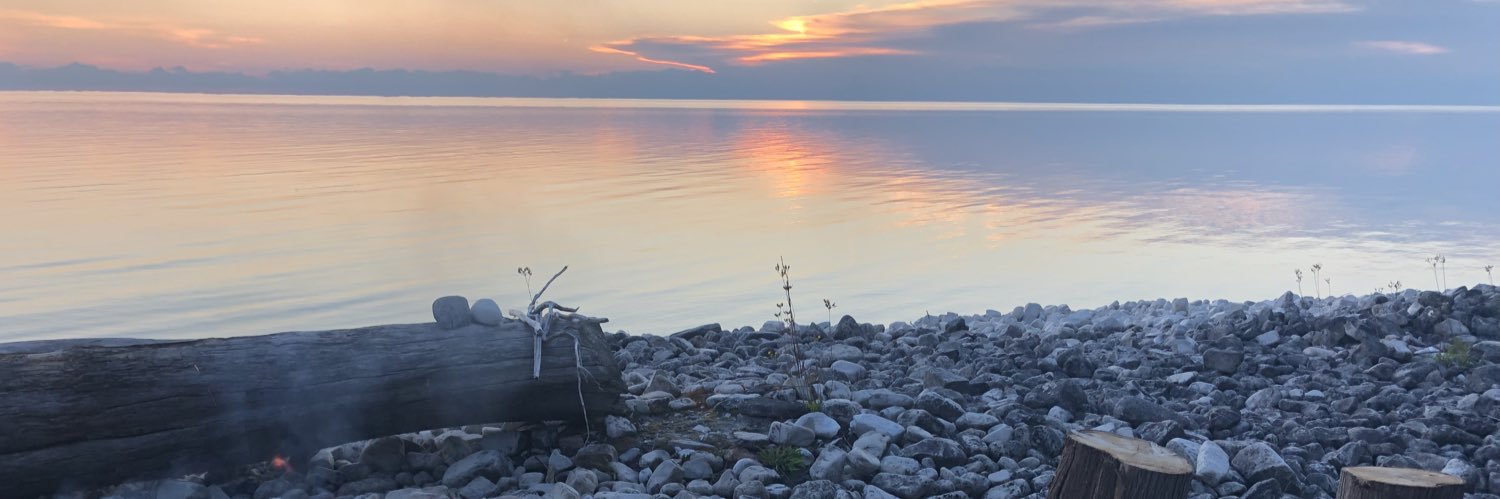 FridayNiteFish's profile banner image