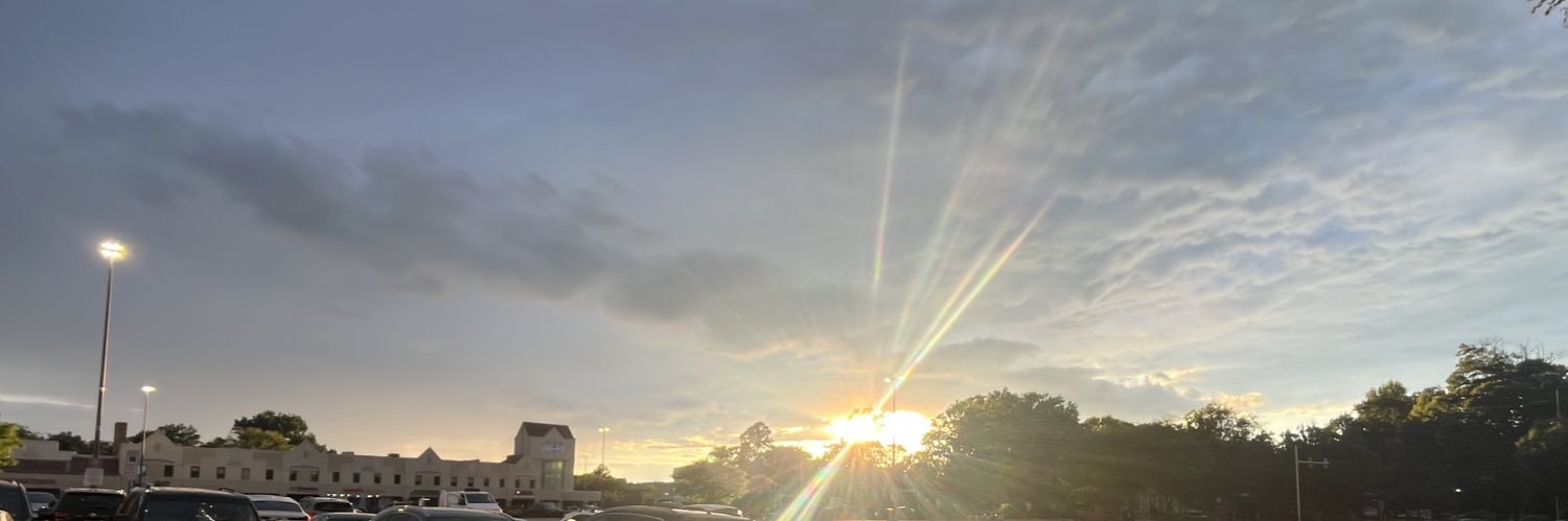 Monkey D. Dragon banner