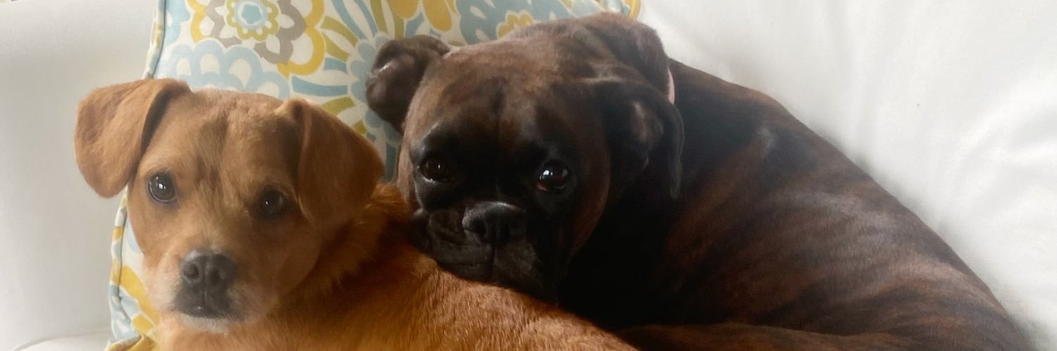 sweet_neat_nic banner