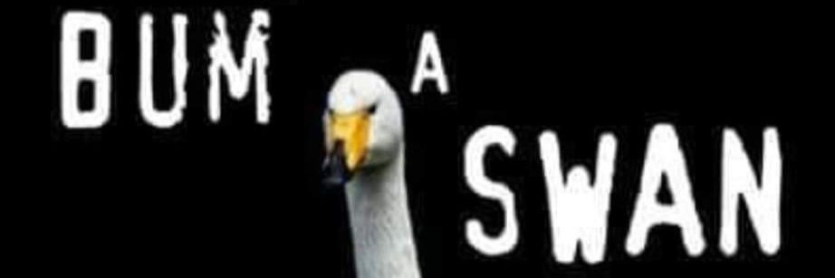 SiegeWolf28's profile banner image