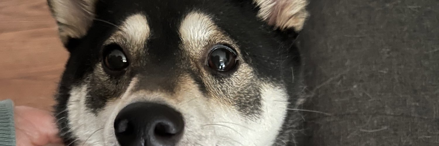 BDC - now UNION banner