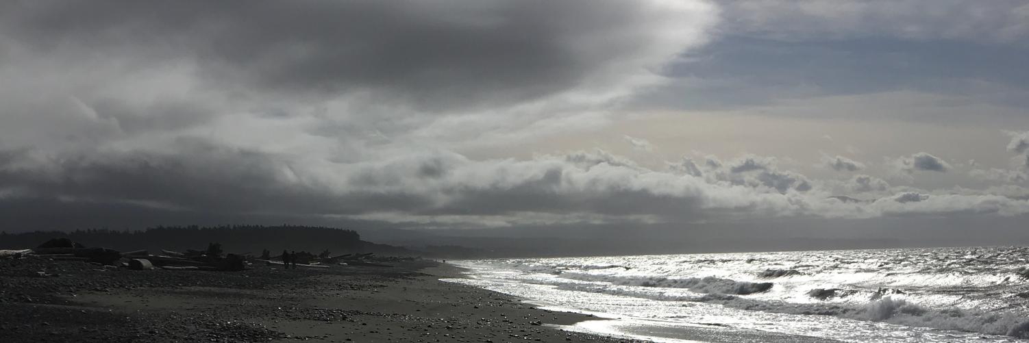 BetsyASharp's profile banner image