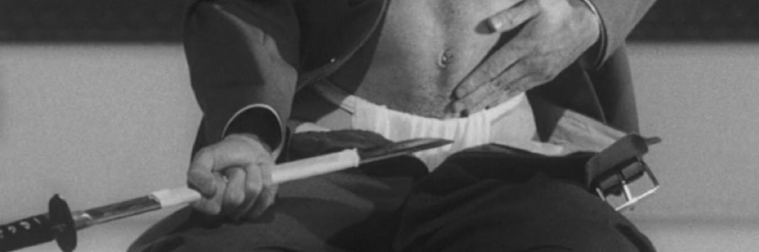 sacha's banner