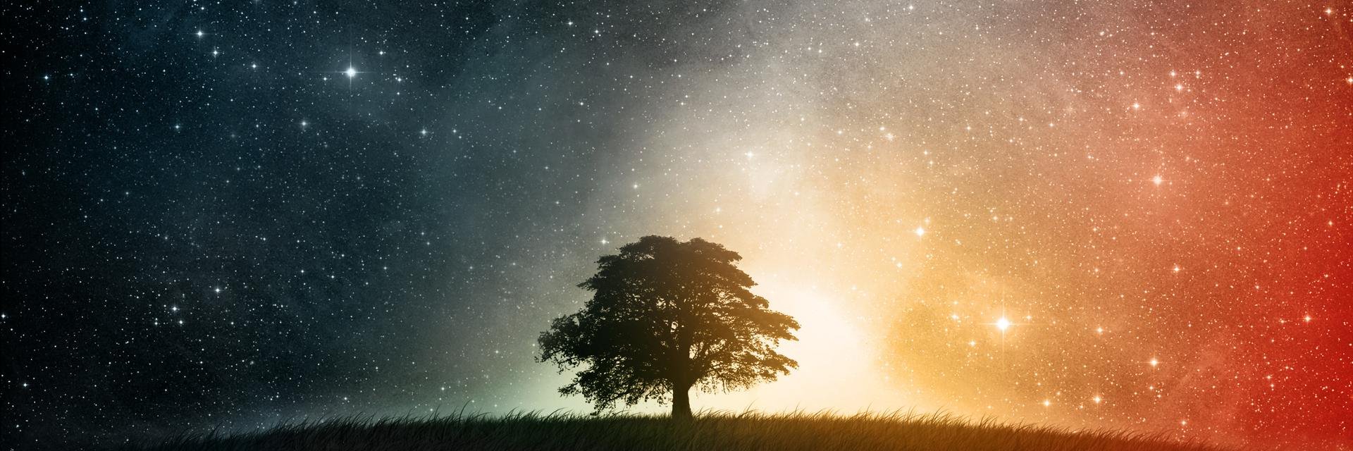 Kenkaaaaaa's profile banner image