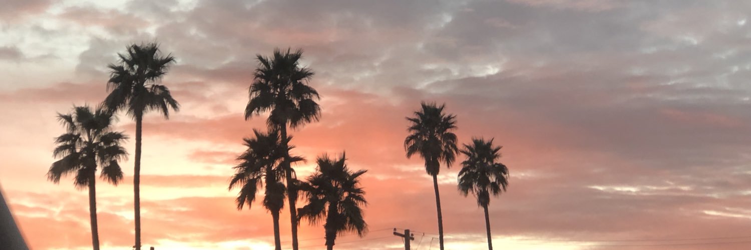 ednovakk's profile banner image