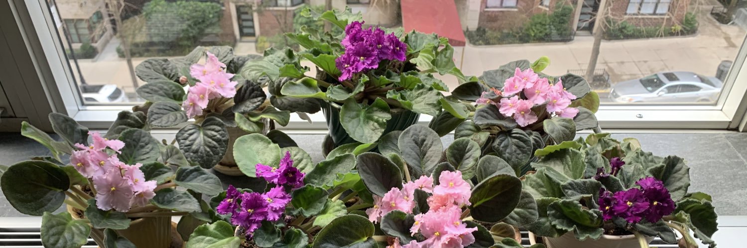 follow trump’s pecker tracks 💦 banner