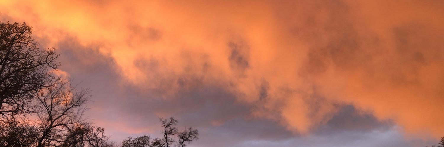 Kelly Kastner banner