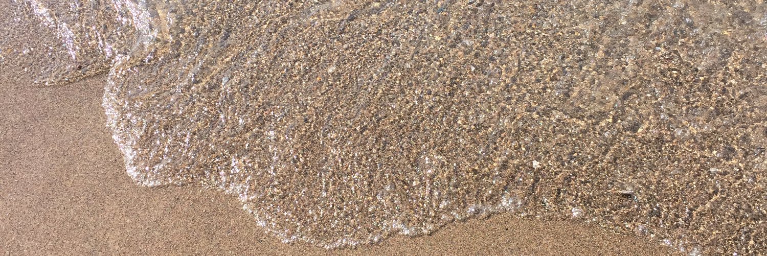 CourtneyDbt's profile banner image