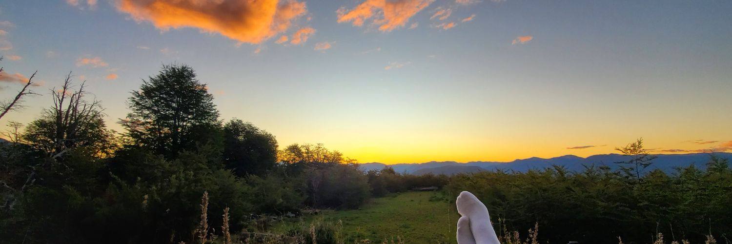 Gustavoandi's profile banner image